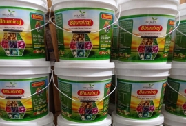 WhatsApp Image 2021-08-21 at 9.08.03 PM.jpg