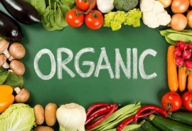 WhatsApp Image 2021-08-21 at 9.18.25 PM.jpg